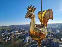 Quelle: Kath. Kirchengemeinde Neuhausen auf den Fildern